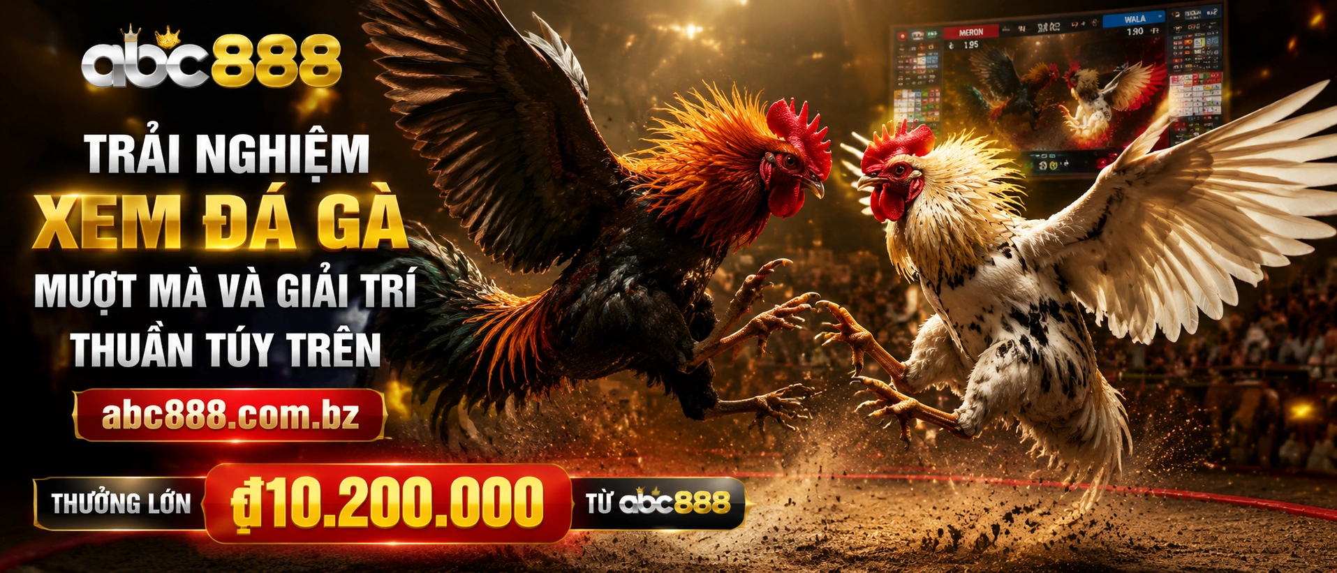 Đá Gà Trực Tiếp visual